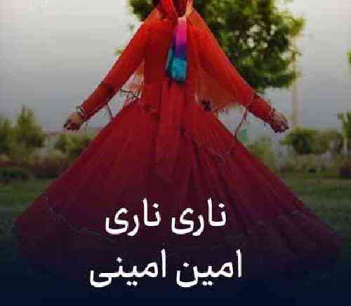 امین امینی ناری ناری